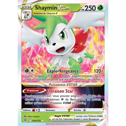Zamazenta V - EB09 163/172 - Stars Étincelantes SWSH09 - Carte Pokémon à  l'unité - DracauGames