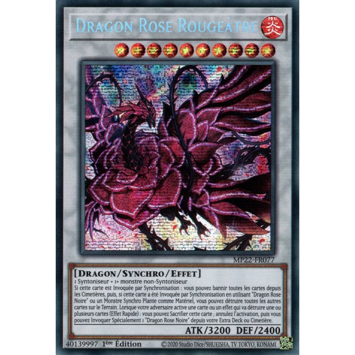 Dragon Rose Rougeâtre - MP22-FR077