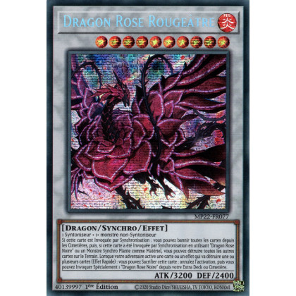 Dragon Rose Rougeâtre - MP22-FR077