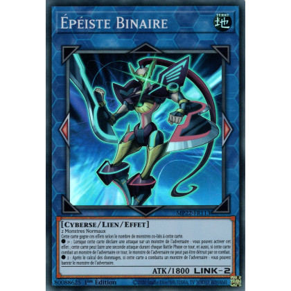 Épéiste Binaire - MP22-FR113