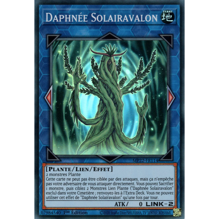 Daphnée Solairavalon - MP22-FR114