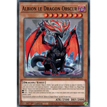 Albion le Dragon Obscur - MP22-FR125