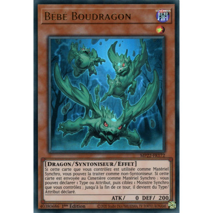 Bébé Boudragon - MP22-FR172