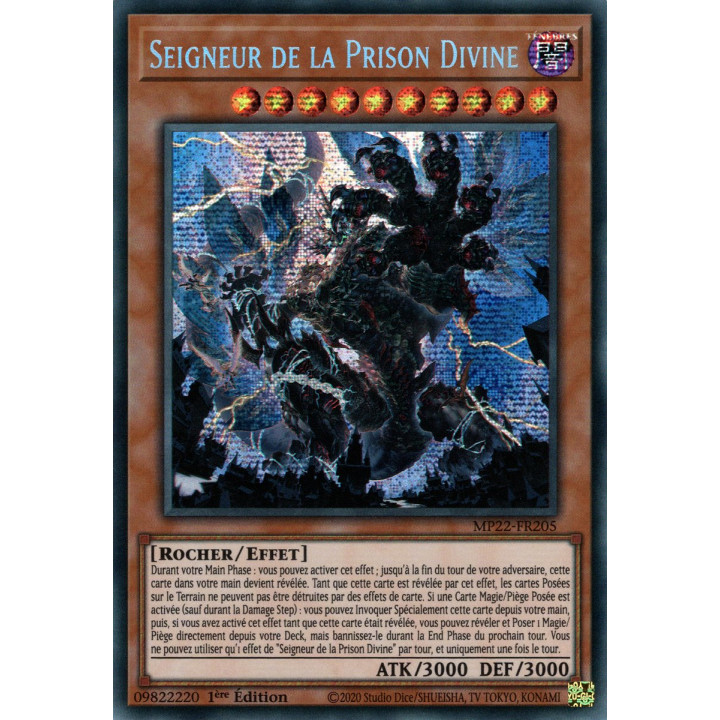 Seigneur de la Prison Divine - MP22-FR205