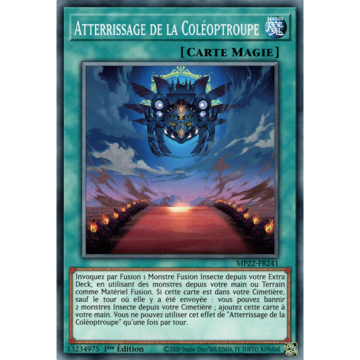 Atterrissage de la Coléoptroupe - MP22-FR241