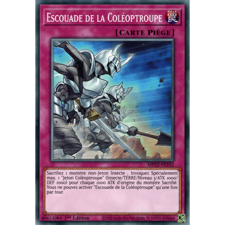 Escouade de la Coléoptroupe - MP22-FR242