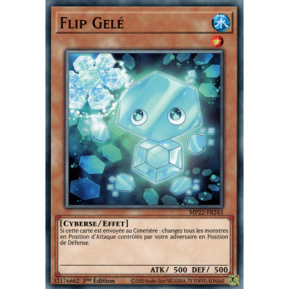 Flip Gelé - MP22-FR243