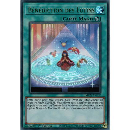 Bénédiction des Lutins - MP22-FR252