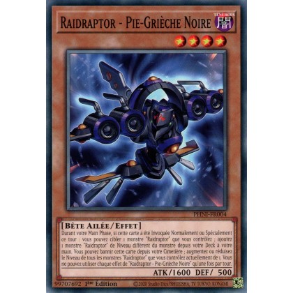 Raidraptor - Pie-Grièche Noire - PHNI-FR004