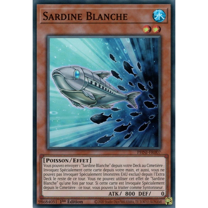 Sardine Blanche - PHNI-FR007