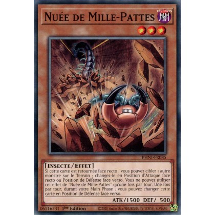 Nuée de Mille-Pattes - PHNI-FR085