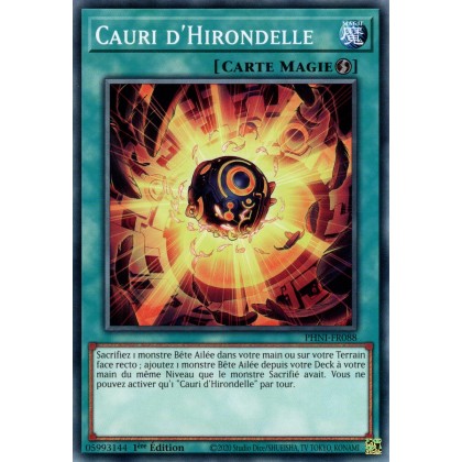 Cauri d'Hirondelle - PHNI-FR088