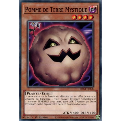 Pomme de Terre Mystique - PHNI-FR098