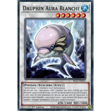 Dauphin Aura Blanche - BLC1-FR052