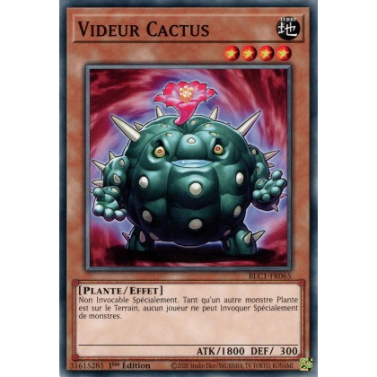 Videur Cactus - BLC1-FR065