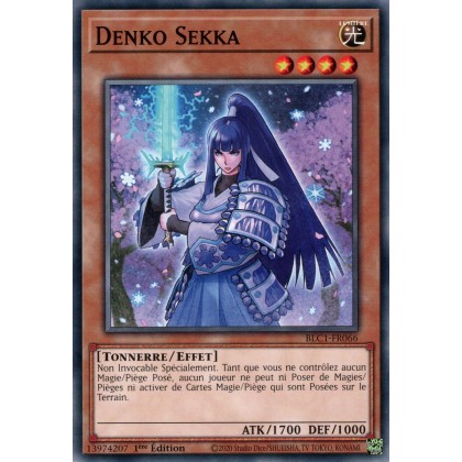 Denko Sekka - BLC1-FR066