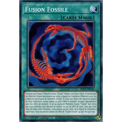 Fusion Fossile - BLC1-FR134