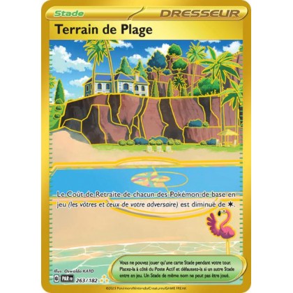 Terrain de Plage - 263/182