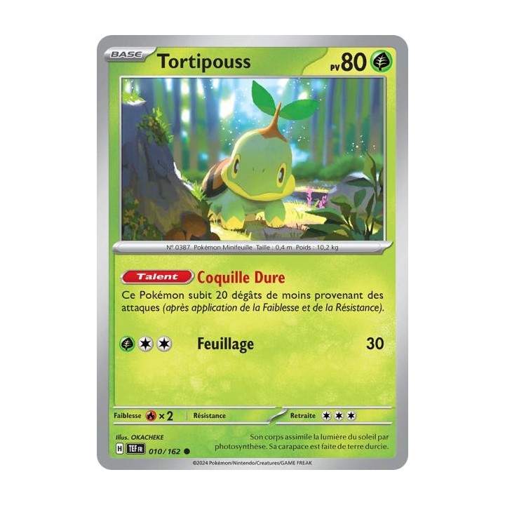 Tortipouss - 010/162