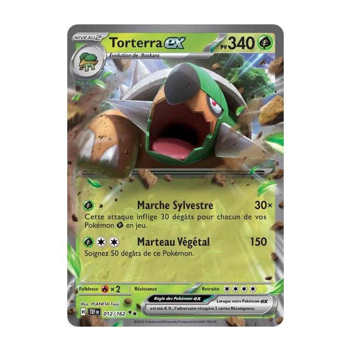 Torterra ex - 012/162