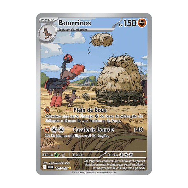 Bourrinos - 175/162