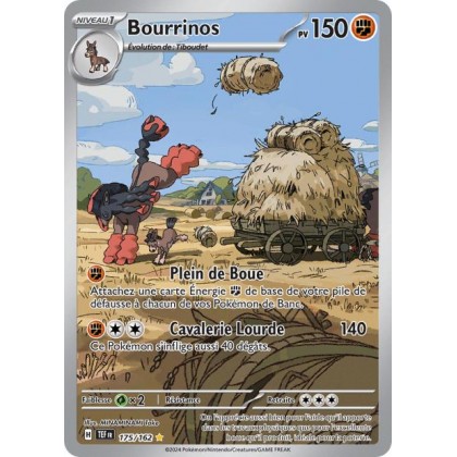 Bourrinos - 175/162