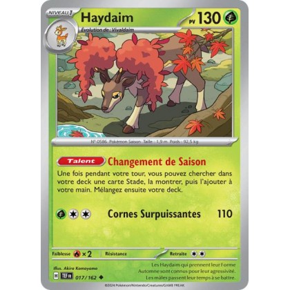 Haydaim - 017/162 *Reverse*