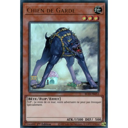 Chien de Garde - BLTR-FR053