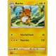 Raichu - 009/034