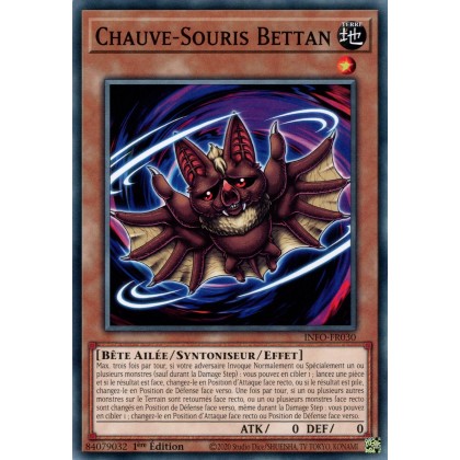 Chauve-Souris Bettan - INFO-FR030