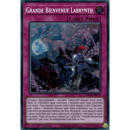 Grande Bienvenue Labrynth - MP24-FR074