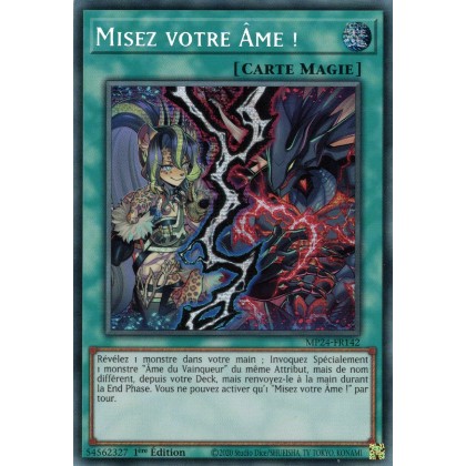 Misez votre Âme ! - MP24-FR142