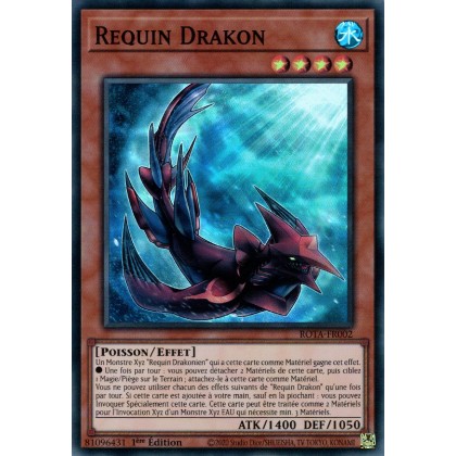 Requin Drakon - ROTA-FR002