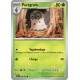 Pérégrain (SSP 006/191) - Carte Pokémon Étincelles Déferlantes EV08