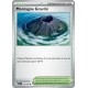 Montagne Gravité (SSP 177/191) - Carte Pokémon Étincelles Déferlantes EV08