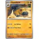 Pokémon - Hippodocus (PRE 053/131) - Évolutions Prismatiques