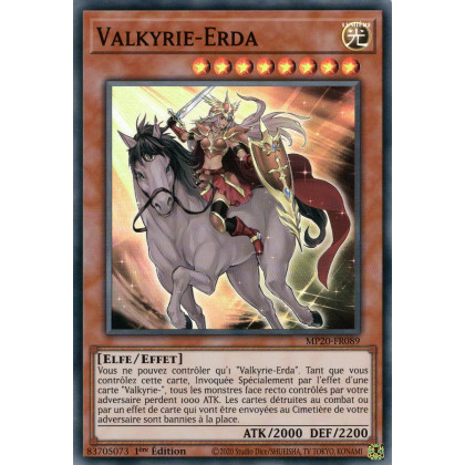 MP20-FR089 Valkyrie-Erda