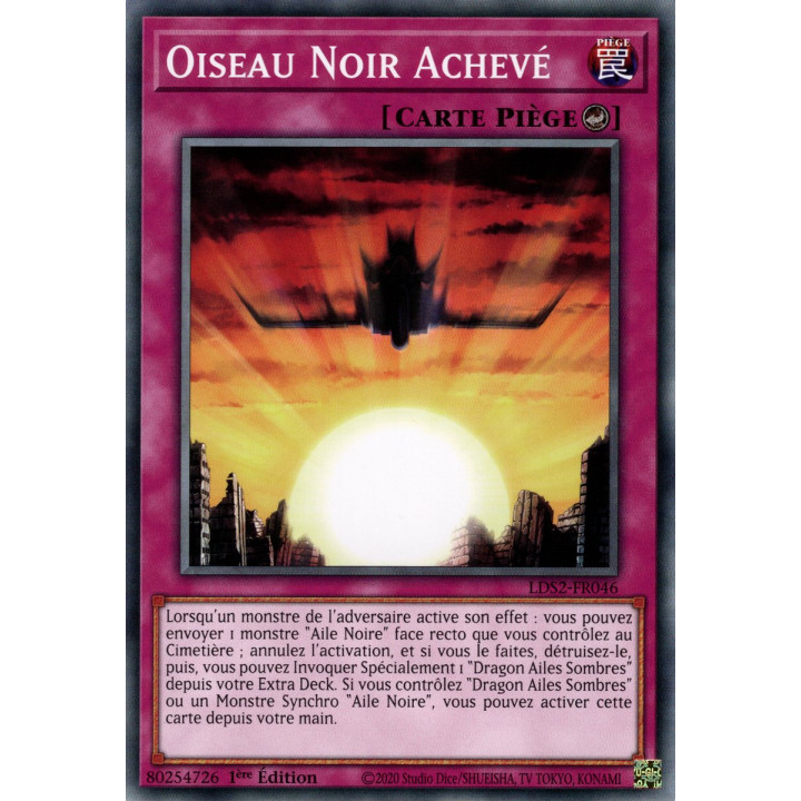 Oiseau Noir Achevé : LDS2-FR046 C