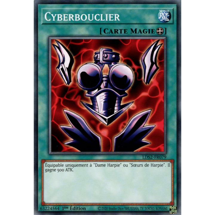 Cyberbouclier : LDS2-FR079 C