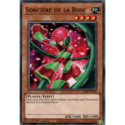 Sorcière de la Rose : LDS2-FR100 C