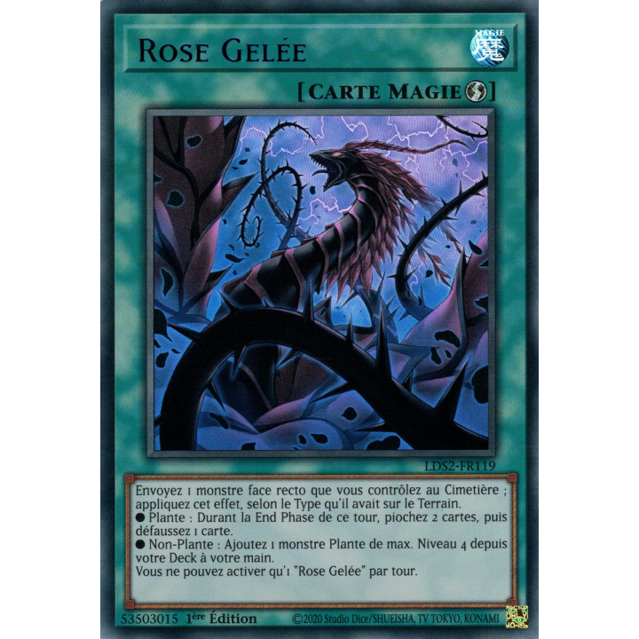 Rose Gelée : LDS2-FR119 UR (Bleu)