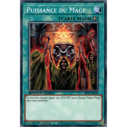 Puissance du Mage : SBCB-FR100 C