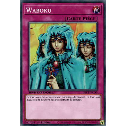 Waboku : SBCB-FR143 C