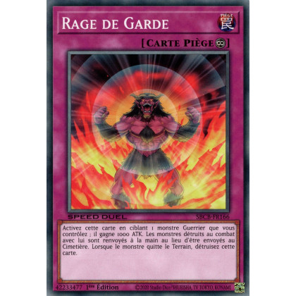 Rage de Garde : SBCB-FR166 C