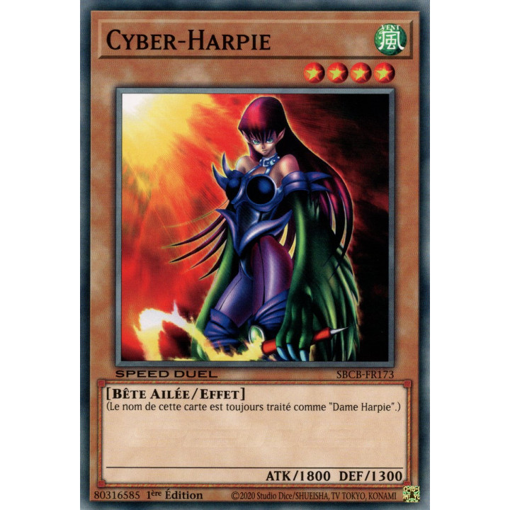 Cyber-Harpie : SBCB-FR173 C