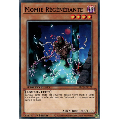 Momie Régénérante : SBCB-FR177 C