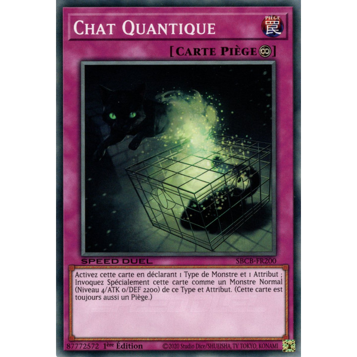 Chat Quantique : SBCB-FR200 C