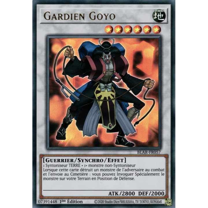 Gardien Goyo : BLAR-FR057 UR