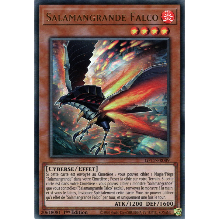 Salamangrande Falco : GFTP-FR089 UR