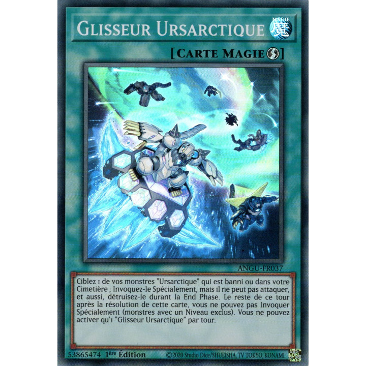 Glisseur Ursarctique : ANGU-FR037 SR